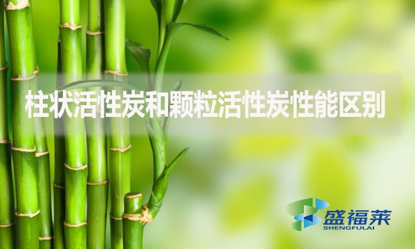 柱狀活性炭和顆?；钚蕴啃阅軈^(qū)別