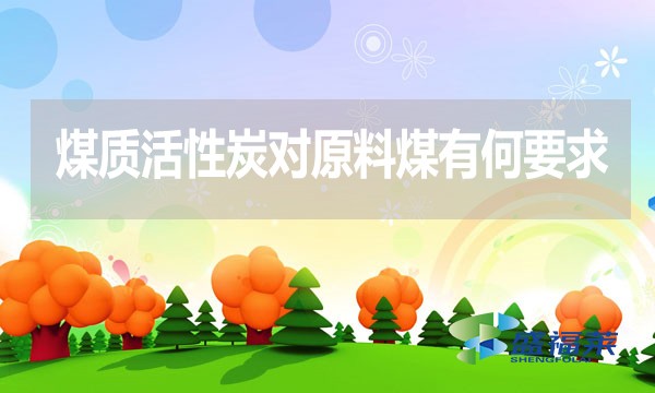 煤質(zhì)活性炭對(duì)原料煤有何要求？