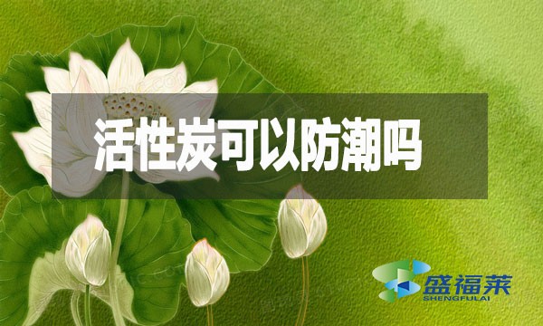 活性炭可以防潮嗎？活性炭防潮防霉效果測試